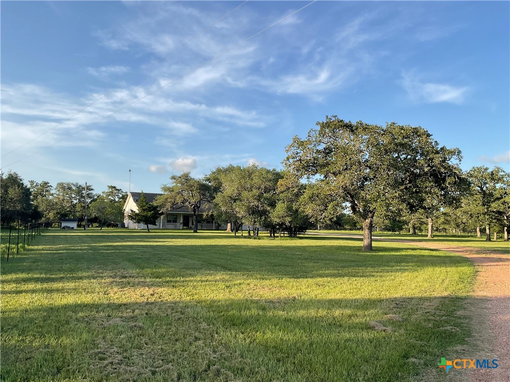2826 Cattle Guard Road Cuero, TX 77954 - Photo 31 of 33 a view of a big yard with a large trees