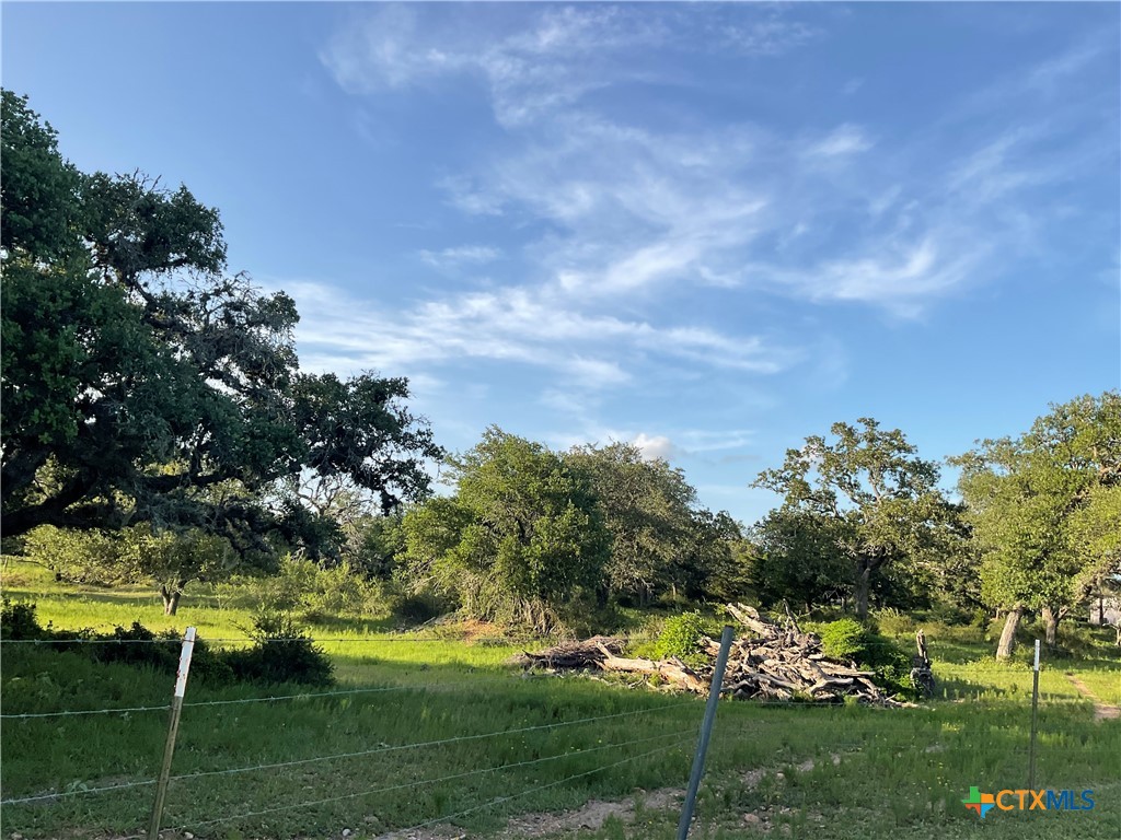 2826 Cattle Guard Road Cuero, TX 77954 - Photo 32 of 33 a view of a park with large trees