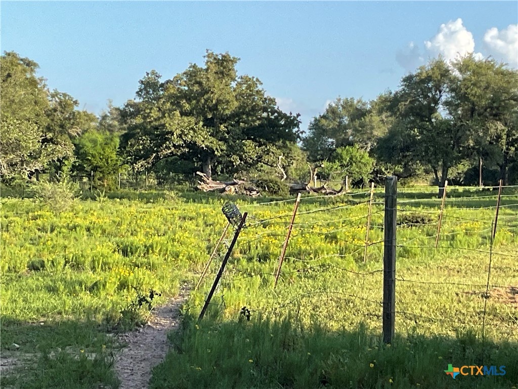 2826 Cattle Guard Road Cuero, TX 77954 - Photo 5 of 33 a view of swimming pool from a yard