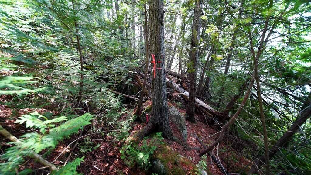 150 South Shore Road Linneus, ME 04730 - Photo 30 of 35 150-south-shore-rd-land-15