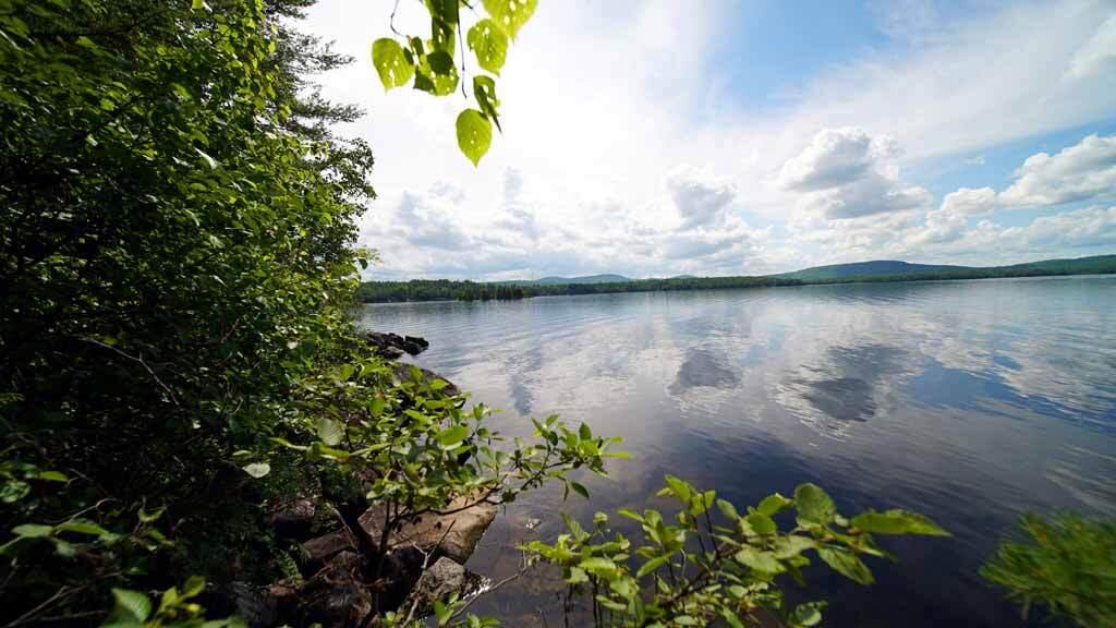 150 South Shore Road Linneus, ME 04730 - Photo 31 of 35 150-south-shore-rd-land-16