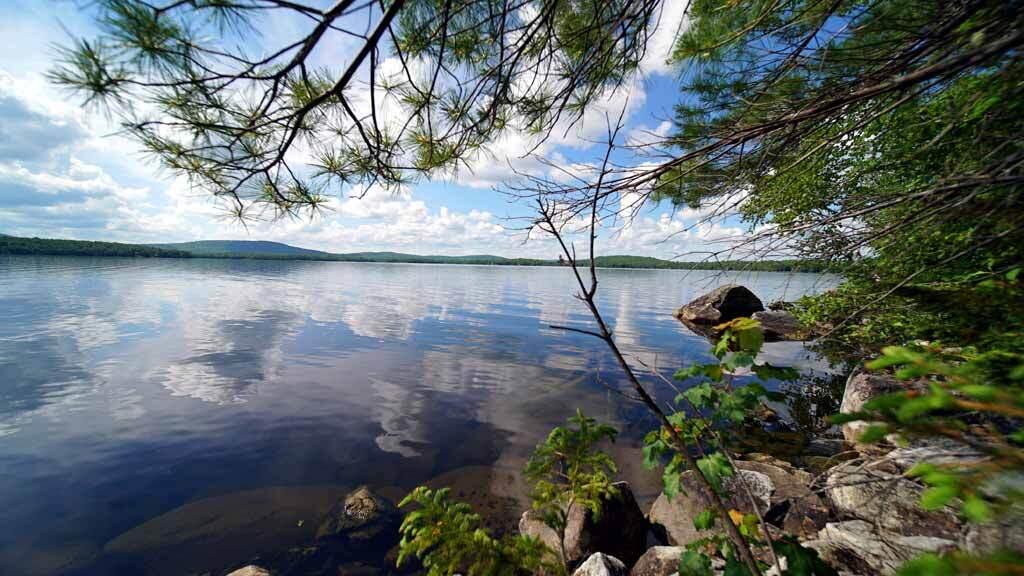 150 South Shore Road Linneus, ME 04730 - Photo 4 of 35 150-south-shore-rd-land-17