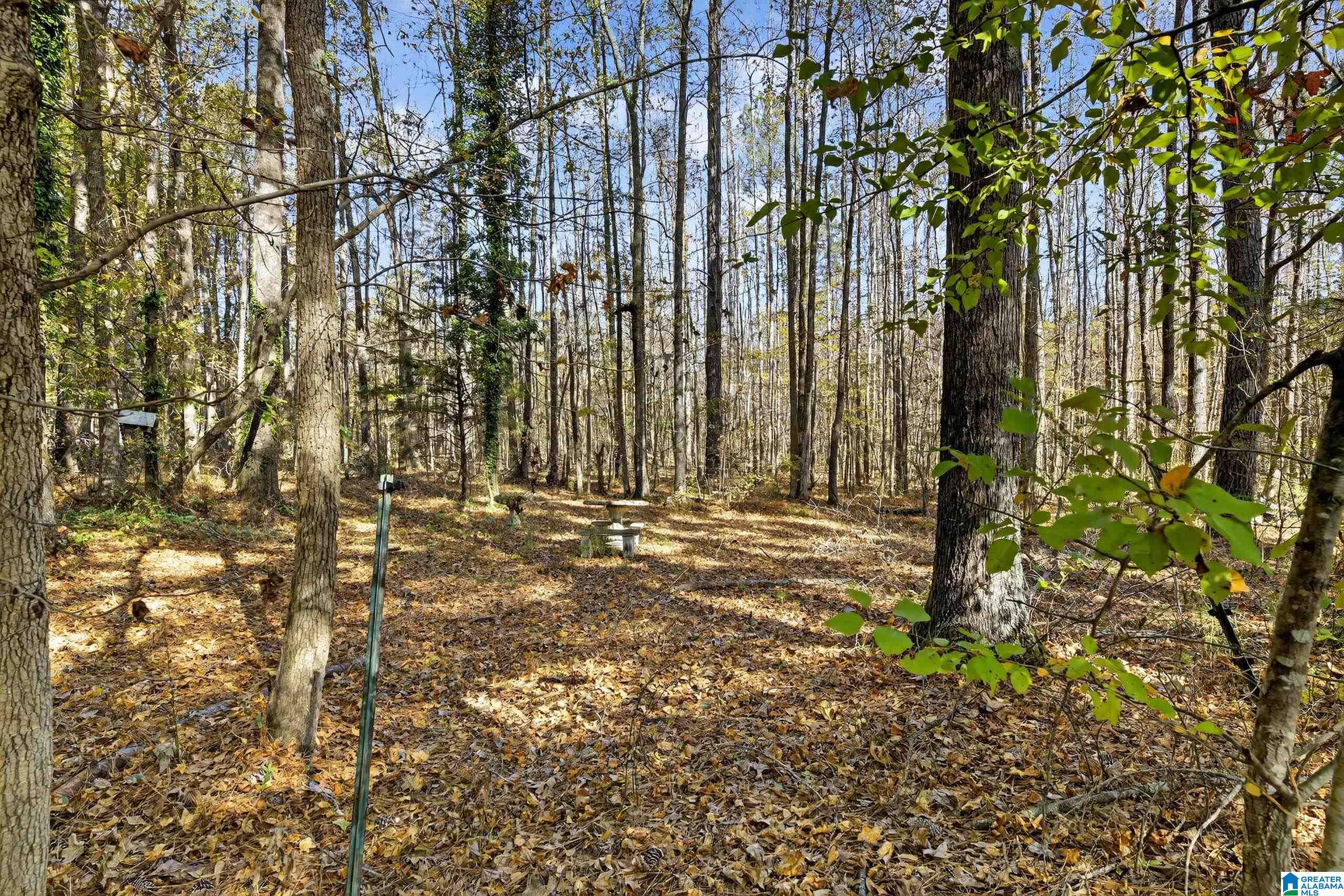 206 Pruitt Road Piedmont, AL 36272 - Photo 22 of 28