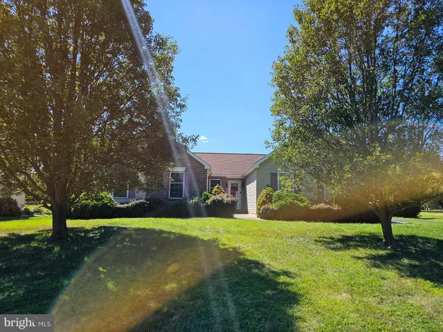 a view of a yard in front of a house with large trees