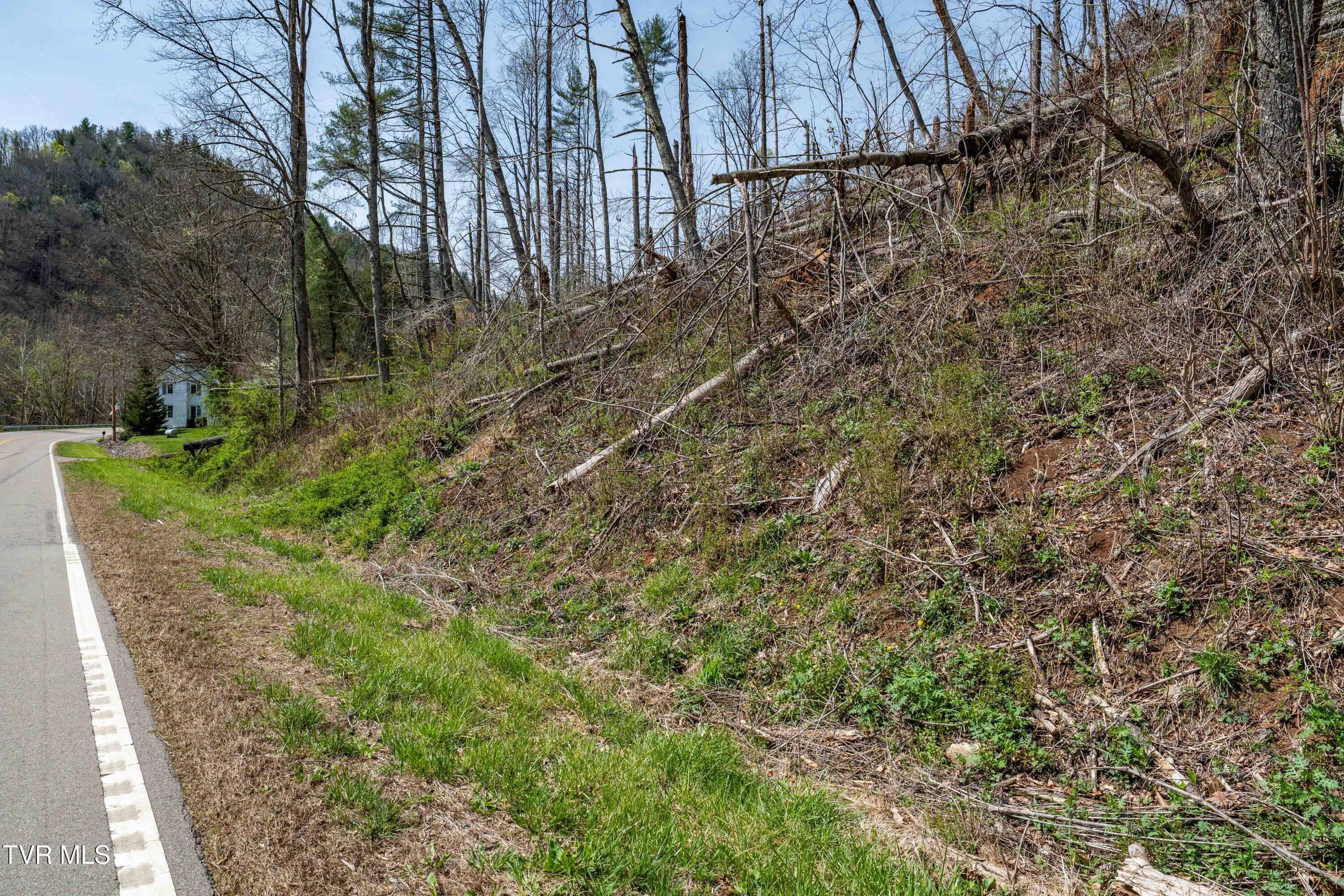 6646 Roan Creek Road Butler, TN 37640 - Photo 43 of 80 6646 Roan Creek Rd (18 of 81)