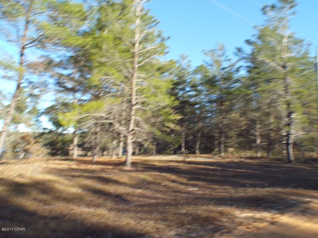 4996 Long Lake Ridge Road Chipley, FL 32428 - Photo 16 of 23 Gallery Image 16