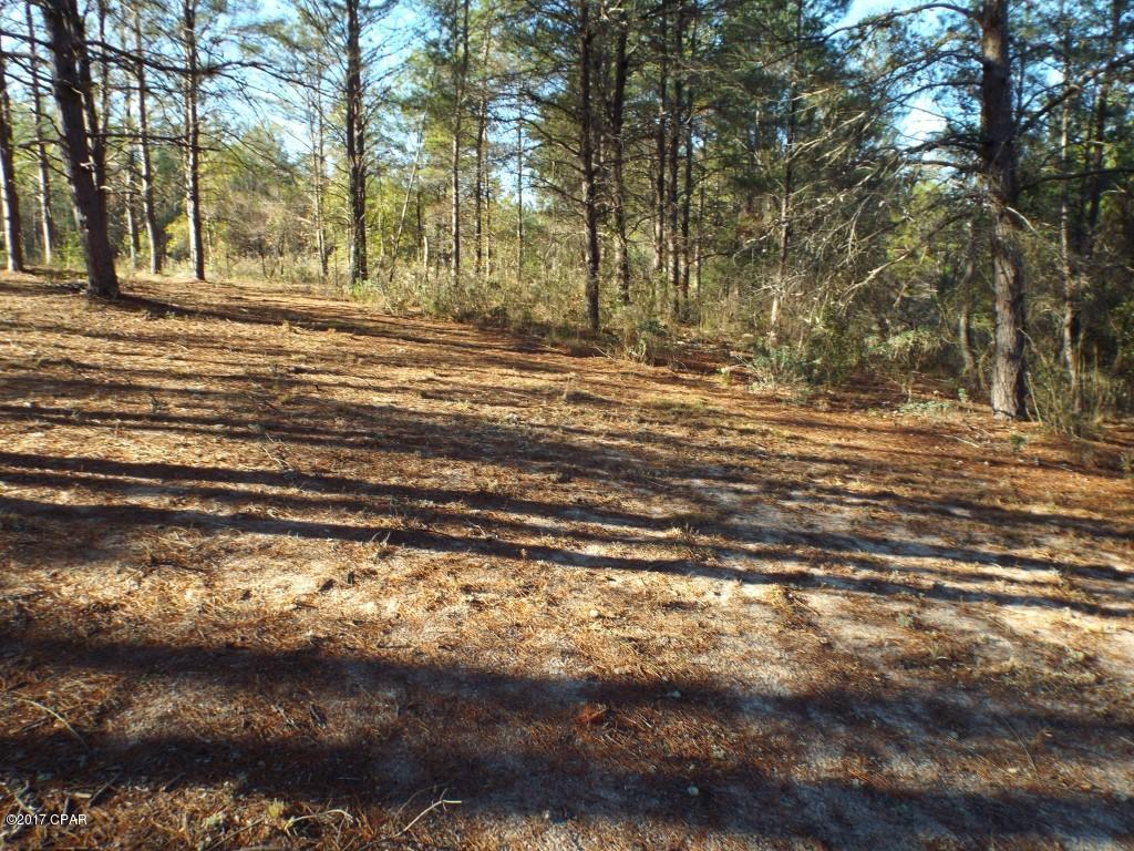 4996 Long Lake Ridge Road Chipley, FL 32428 - Photo 22 of 23 Gallery Image 22