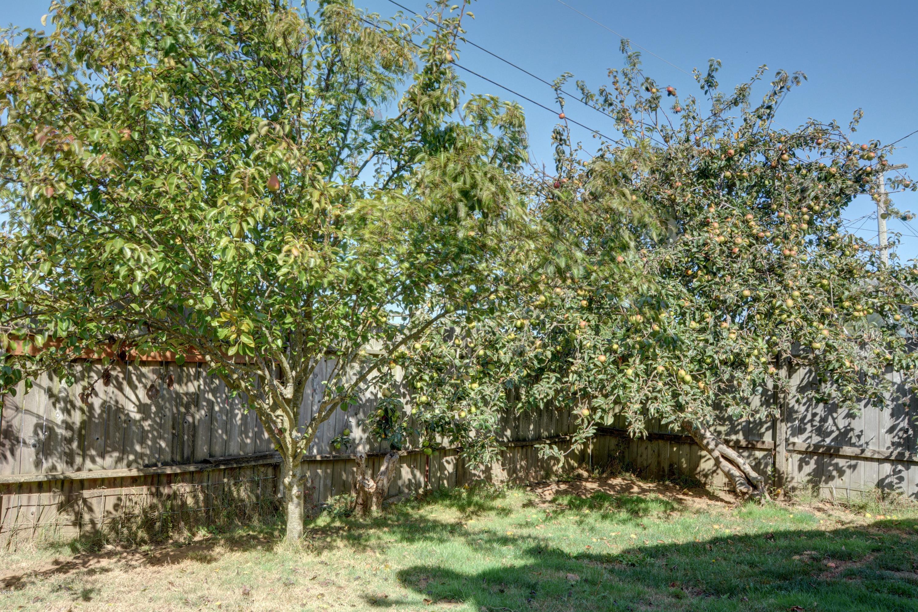 707 Northeast 7th Street Newport, OR 97365 - Photo 19 of 19 Fruit trees