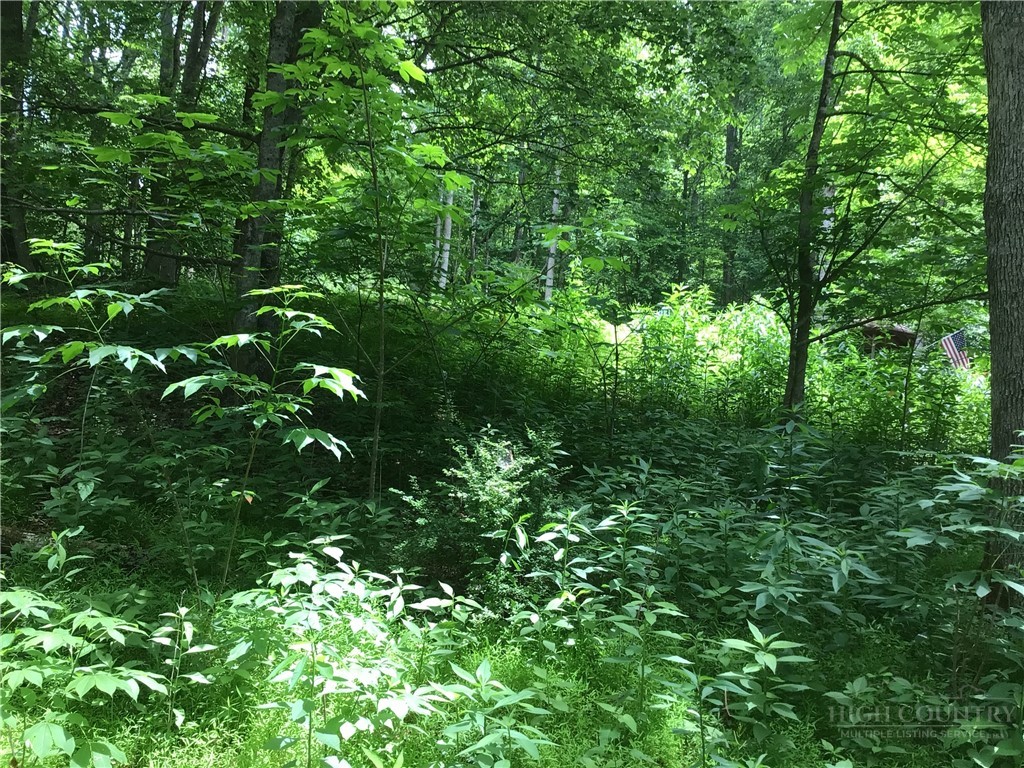 128 Hideaway Crumpler, NC 28617 - Photo 7 of 12