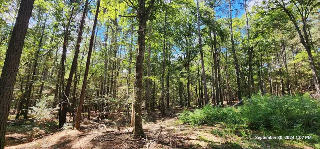 $149,900 | 405 San Augustine Tx 75972, San Augustine, TX 75972