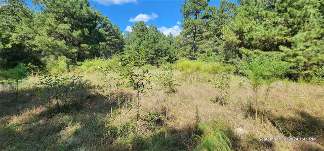 $149,900 | 405 San Augustine Tx 75972, San Augustine, TX 75972