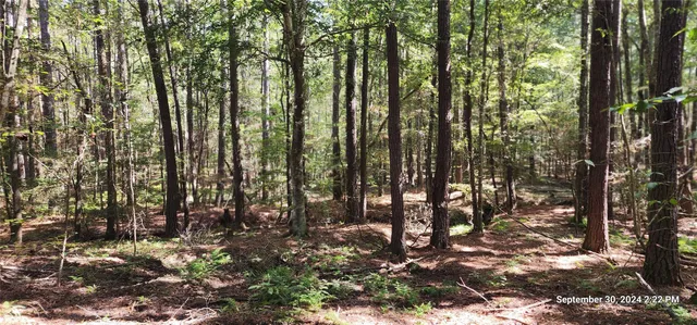 $149,900 | 405 San Augustine Tx 75972, San Augustine, TX 75972