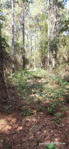 $149,900 | 405 San Augustine Tx 75972, San Augustine, TX 75972