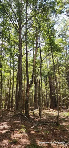 $149,900 | 405 San Augustine Tx 75972, San Augustine, TX 75972