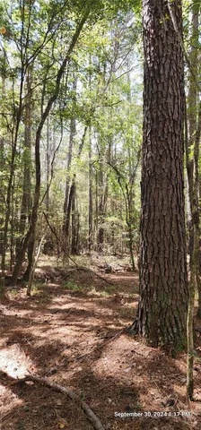 $149,900 | 405 San Augustine Tx 75972, San Augustine, TX 75972