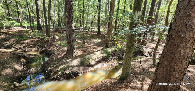 $149,900 | 405 San Augustine Tx 75972, San Augustine, TX 75972