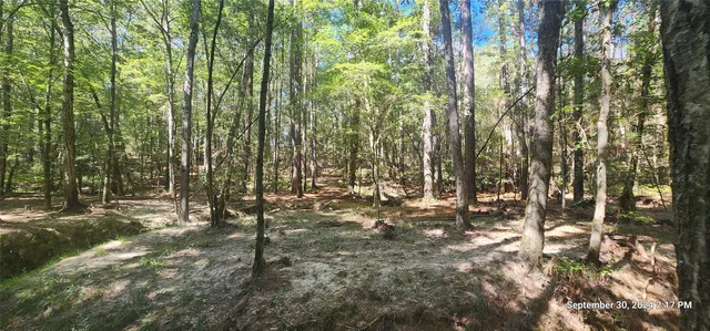 $149,900 | 405 San Augustine Tx 75972, San Augustine, TX 75972