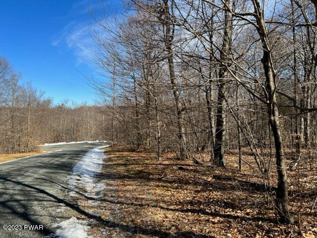 0 Ridgewood Lane Equinunk, PA 18417 - Photo 8 of 22 10 Cul-de-sac