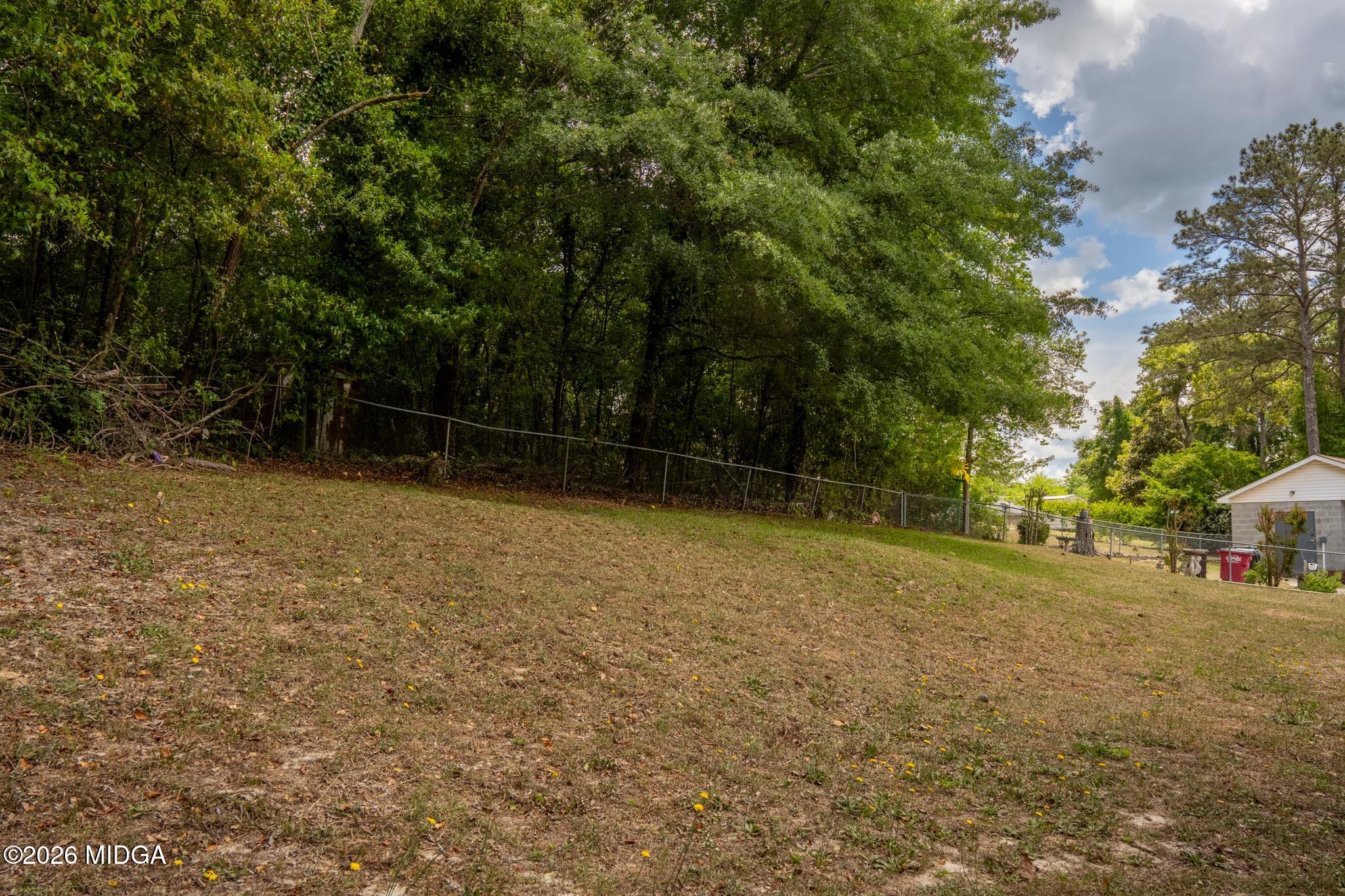 3319 Mohawk Road Macon, GA 31217 - Photo 6 of 38 a view of a field with trees in the background