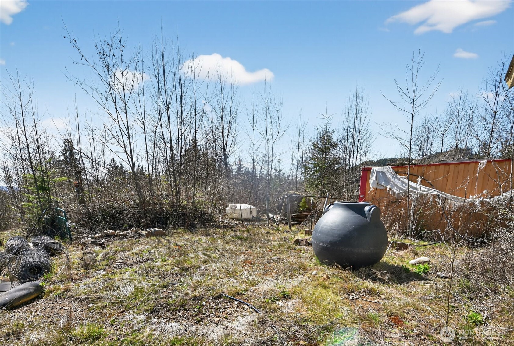 210 Bellicum Road Morton, WA 98356 - Photo 20 of 35 Gallery Image 20