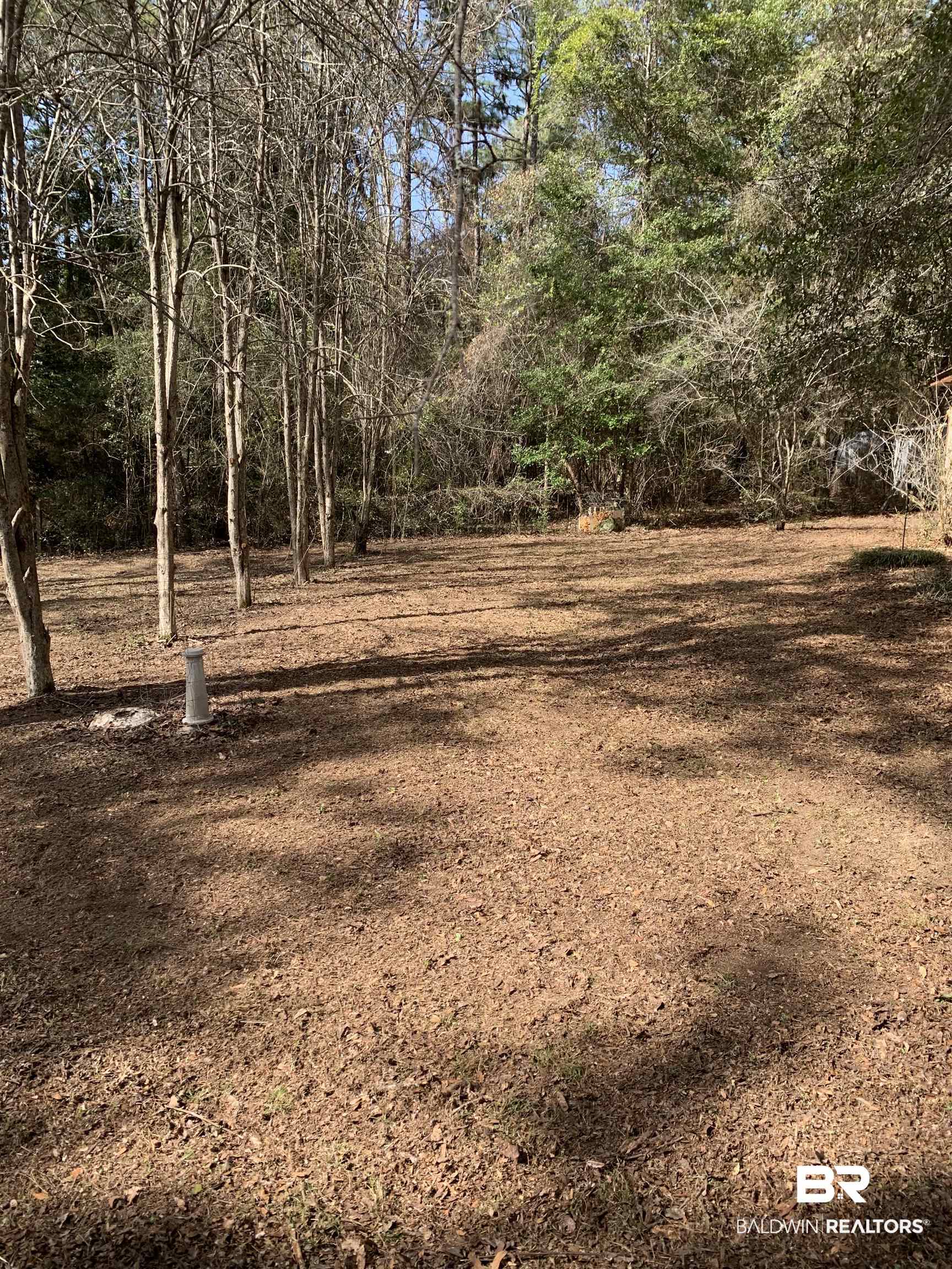 15575 Rogers Drive Chunchula, AL 36521 - Photo 39 of 42 View of yard
