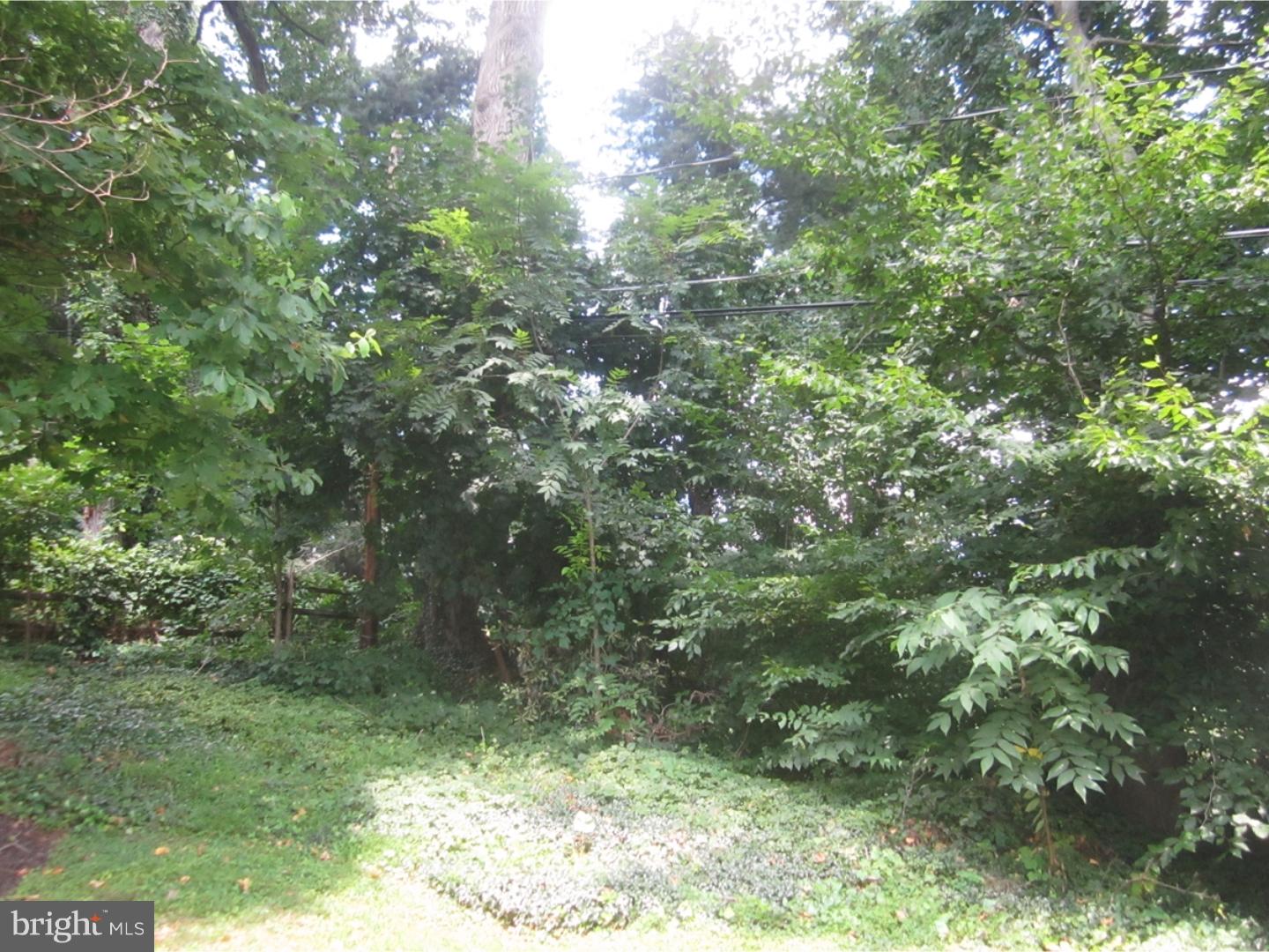 1233 George Road Jenkintown, PA 19046 - Photo 19 of 24 View in Back