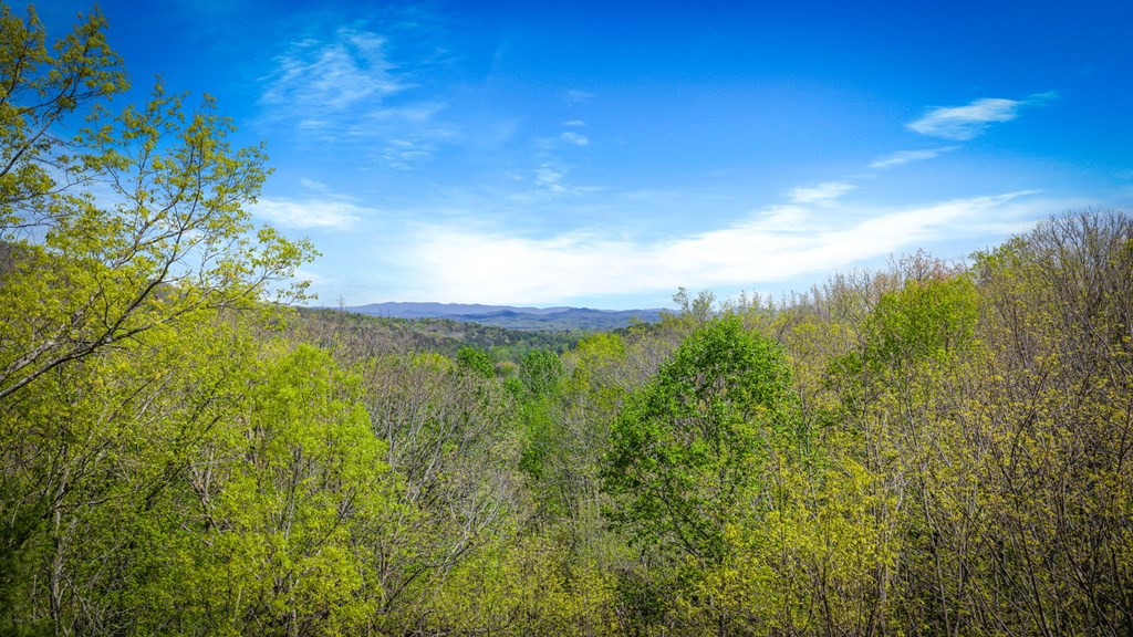 245 Davenport Mountain Road Blue Ridge, GA 30513 - Photo 61 of 73 Gallery Image 61