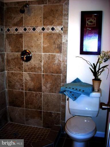 8715 Clydesdale Road Springfield, VA 22151 - Photo 12 of 19 a bathroom with a toilet and a shower