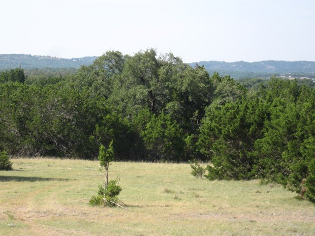 8151 West Fitzhugh Road, Unit 4 Dripping Springs, TX 78620 - Photo 1 of 1 Main View