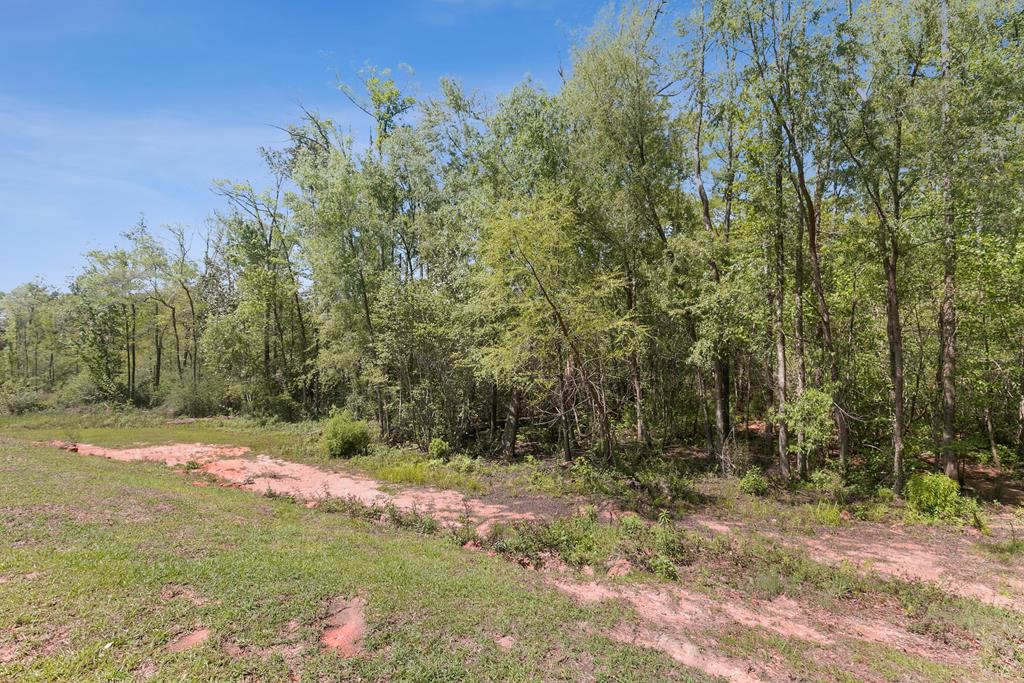509 Riveredge Parkway Dothan, AL 36303 - Photo 44 of 67