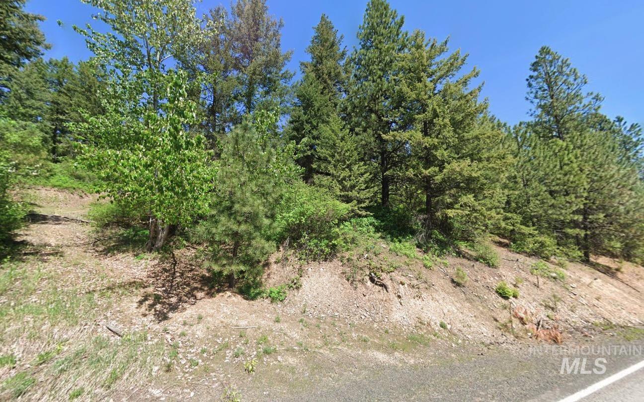 3251 Fairfield Road Plummer, ID 83851 - Photo 2 of 5 View of undeveloped land
