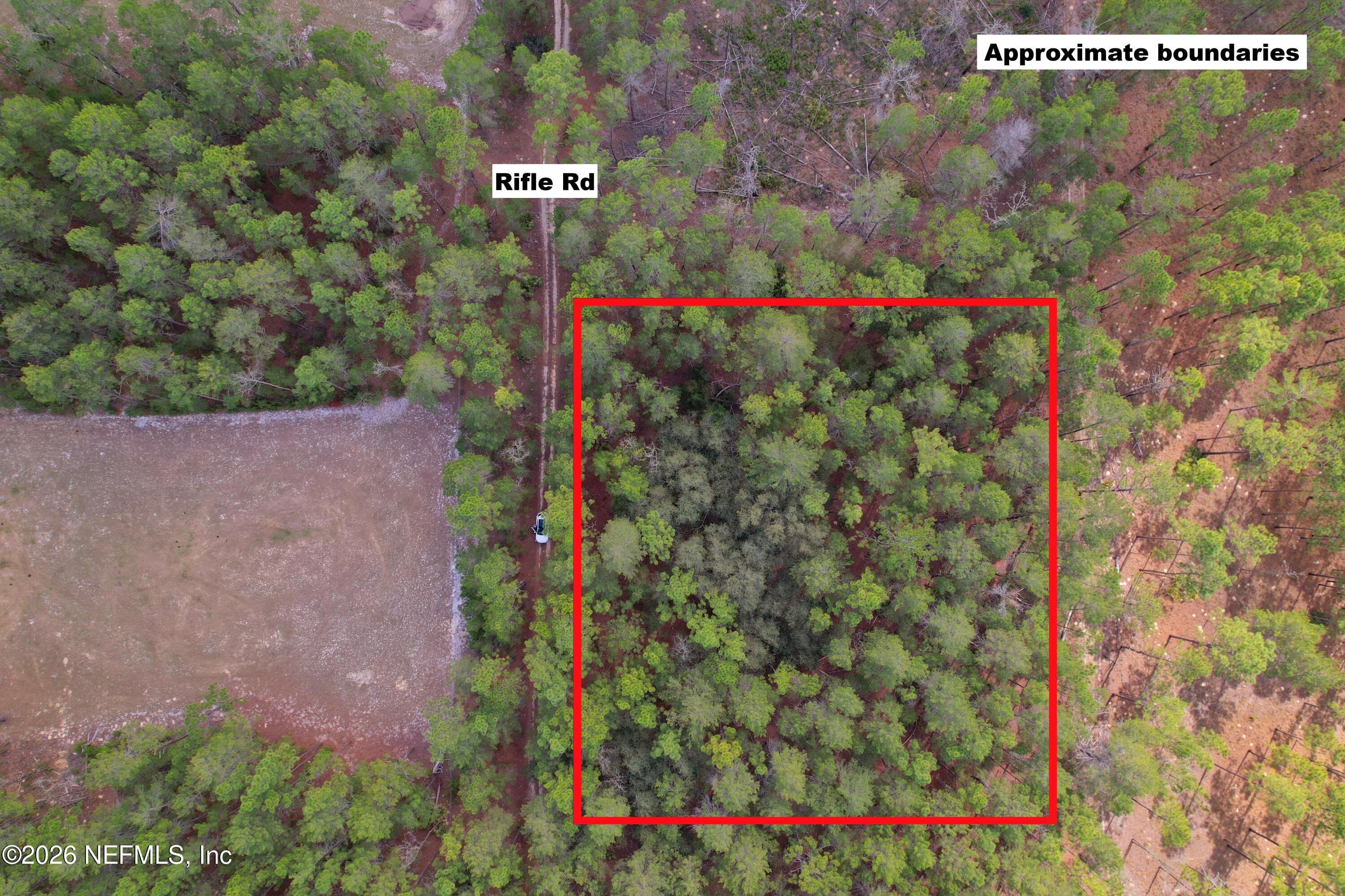 215 Rifle Road Florahome, FL 32140 - Photo 2 of 13 a view of a flower garden