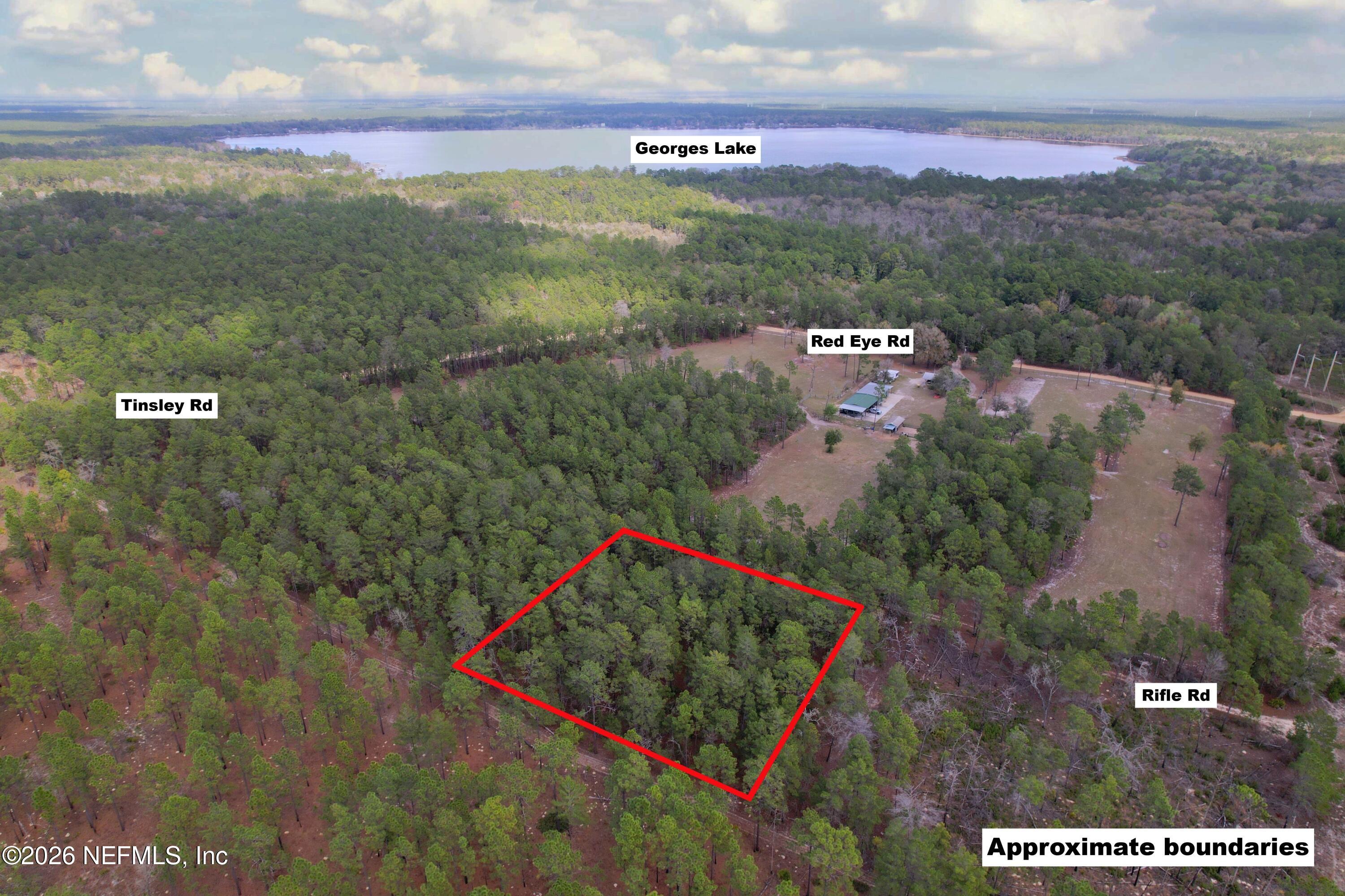 215 Rifle Road Florahome, FL 32140 - Photo 4 of 13 a view of a city