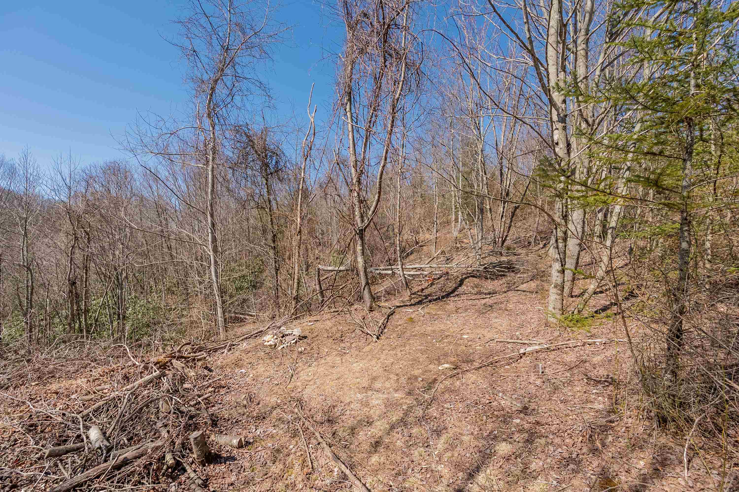 Tbd Southwest Tbd Sw Jeb Stuart Road Southwest Damascus, VA 24236 - Photo 75 of 113 Gallery Image 75