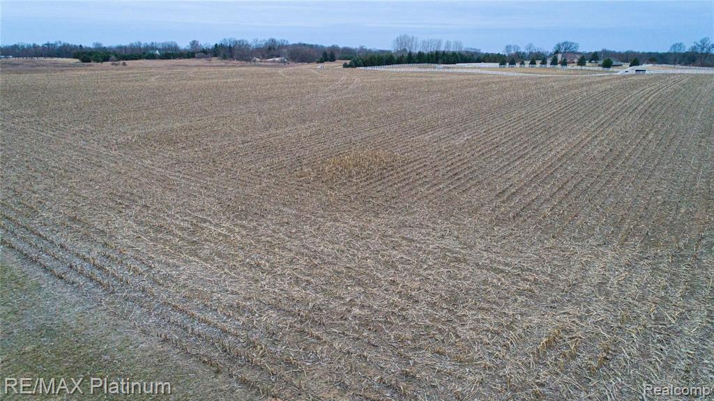 V/l V/l Jacob Road Manchester, MI 48158 - Photo 6 of 8