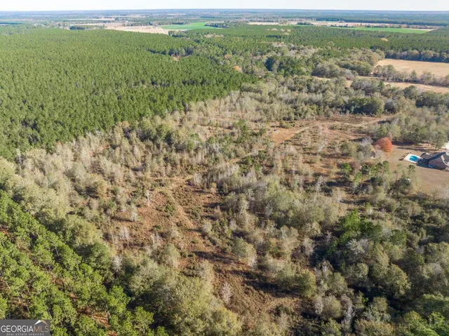 $760,000 | 4065 Gordon Road, Abbeville, GA 31001