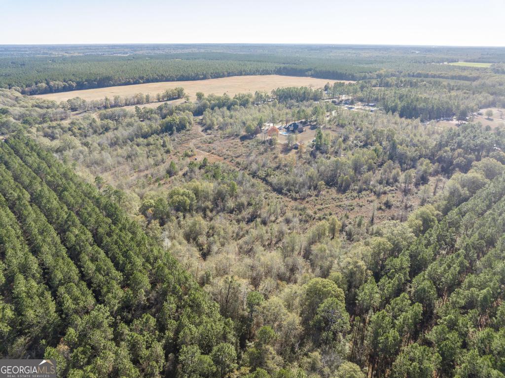 4065 Gordon Road Abbeville, GA 31001 - Photo 45 of 48 a view of mountain view and mountain view