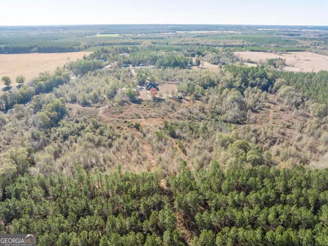 $760,000 | 4065 Gordon Road, Abbeville, GA 31001