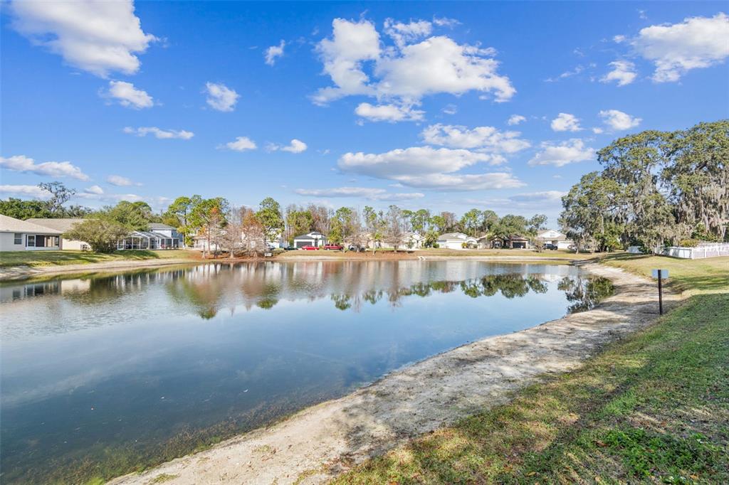 12401 Ridgedale Drive Hudson, FL 34669 - Photo 62 of 93