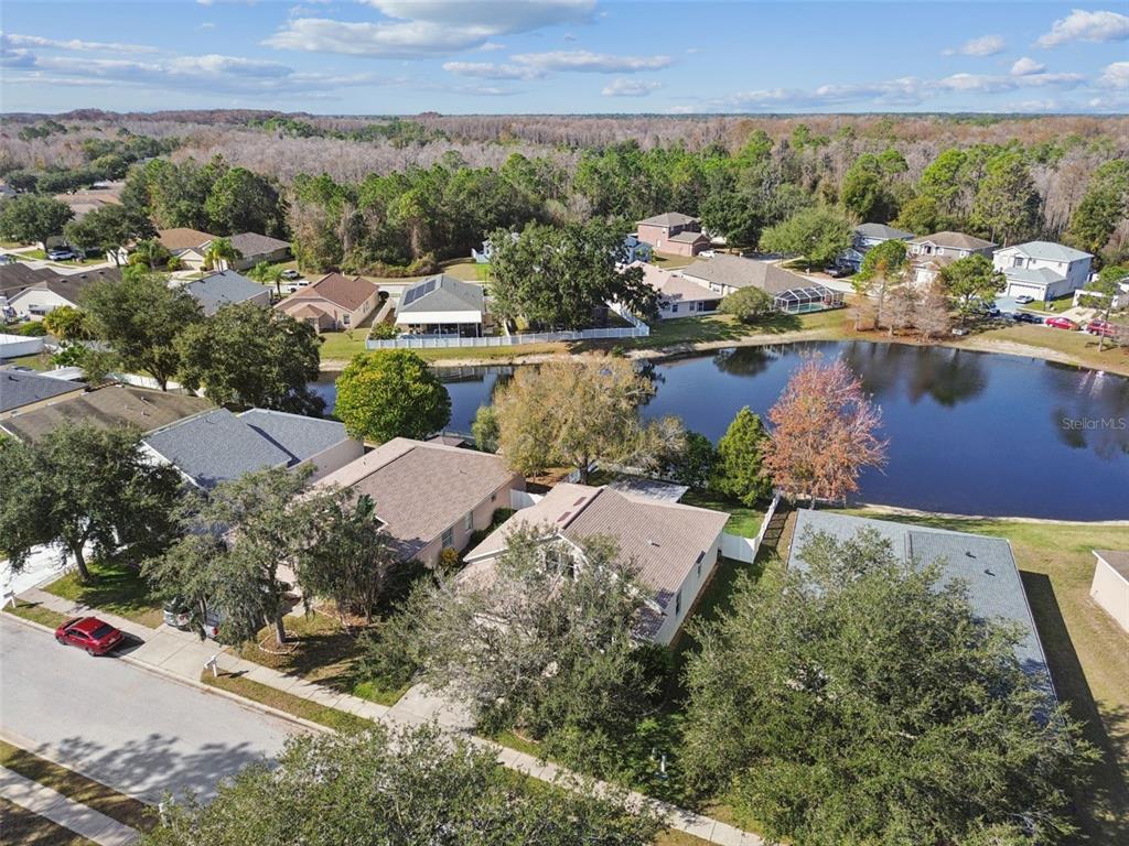 12401 Ridgedale Drive Hudson, FL 34669 - Photo 70 of 93