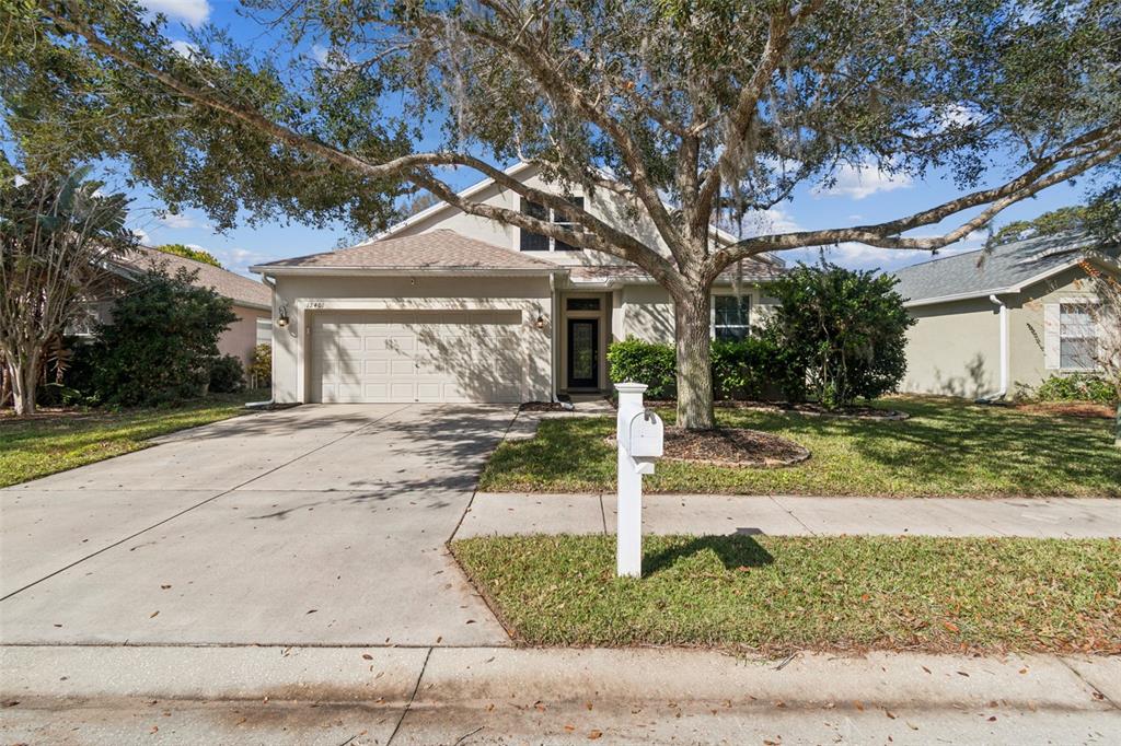 12401 Ridgedale Drive Hudson, FL 34669 - Photo 73 of 93