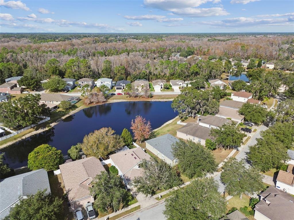 12401 Ridgedale Drive Hudson, FL 34669 - Photo 74 of 93