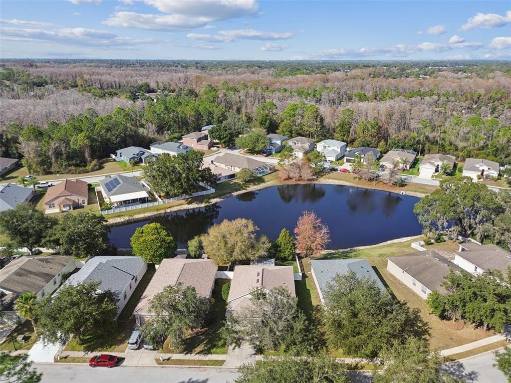 12401 Ridgedale Drive Hudson, FL 34669 - Photo 75 of 93