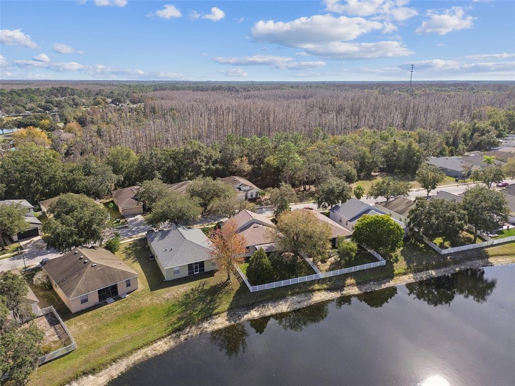 12401 Ridgedale Drive Hudson, FL 34669 - Photo 79 of 93