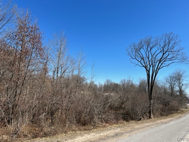 10429 Inkawich (joslyn) Road Remsen, NY 13438 - Photo 1 of 1 Gallery Image 1