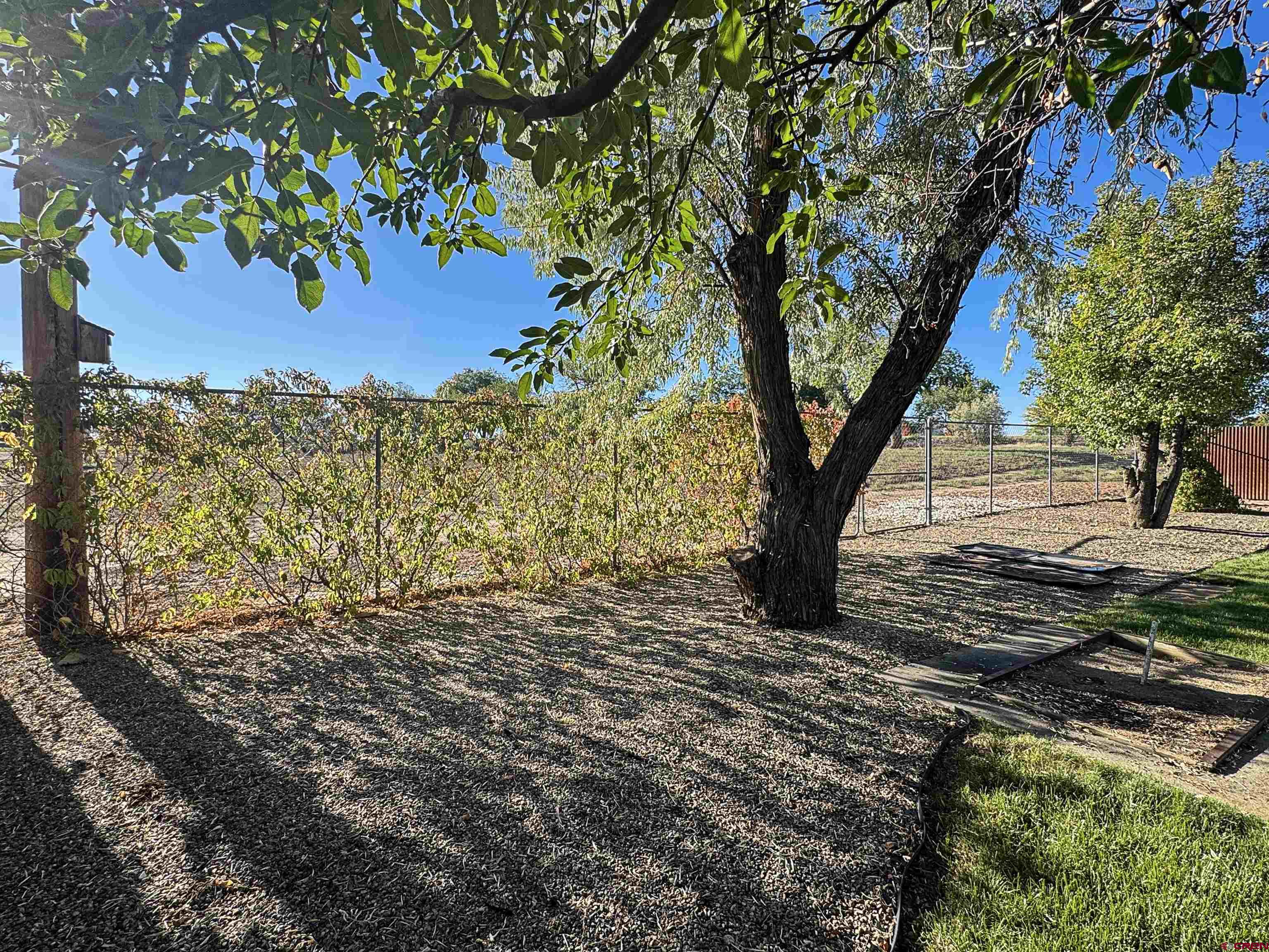 219 Edith Street Cortez, CO 81321 - Photo 27 of 29 a picture of trees
