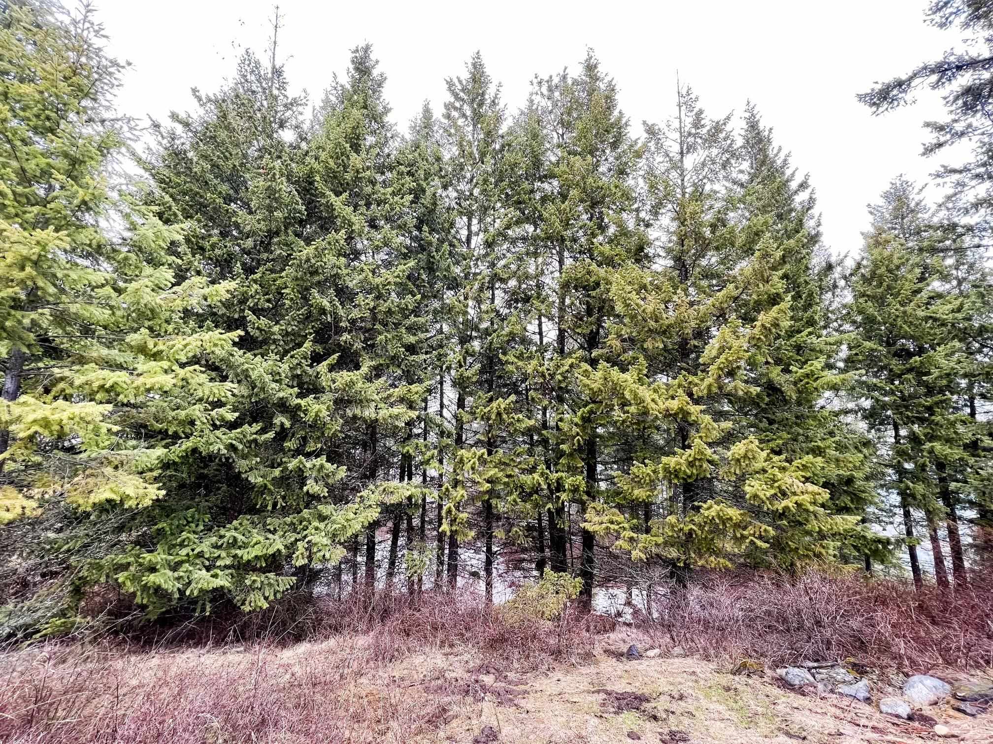 1274 F Mingo Mountain Road Kettle Falls, WA 99141 - Photo 17 of 21 Gallery Image 17