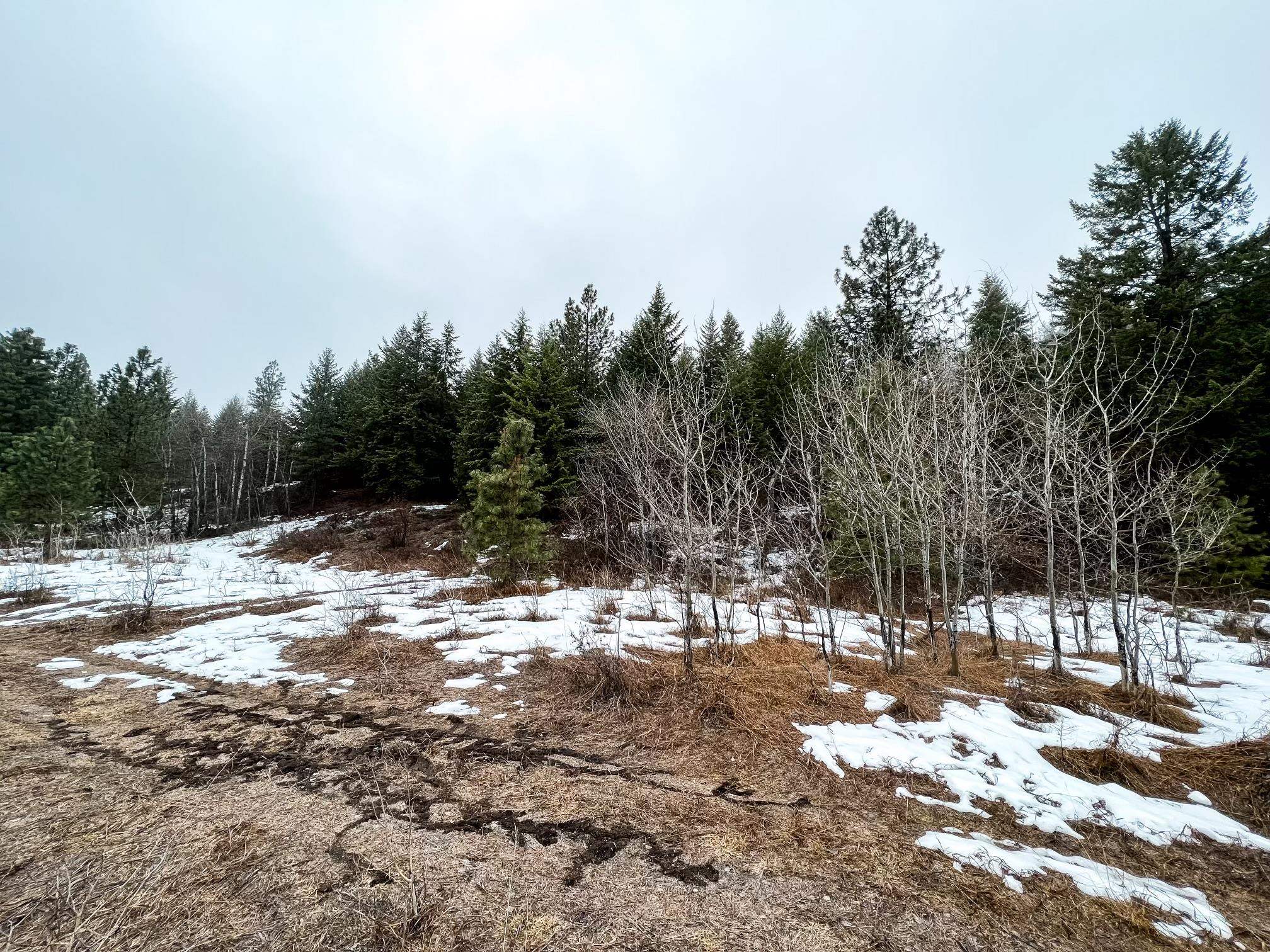 1274 F Mingo Mountain Road Kettle Falls, WA 99141 - Photo 3 of 21 Gallery Image 3