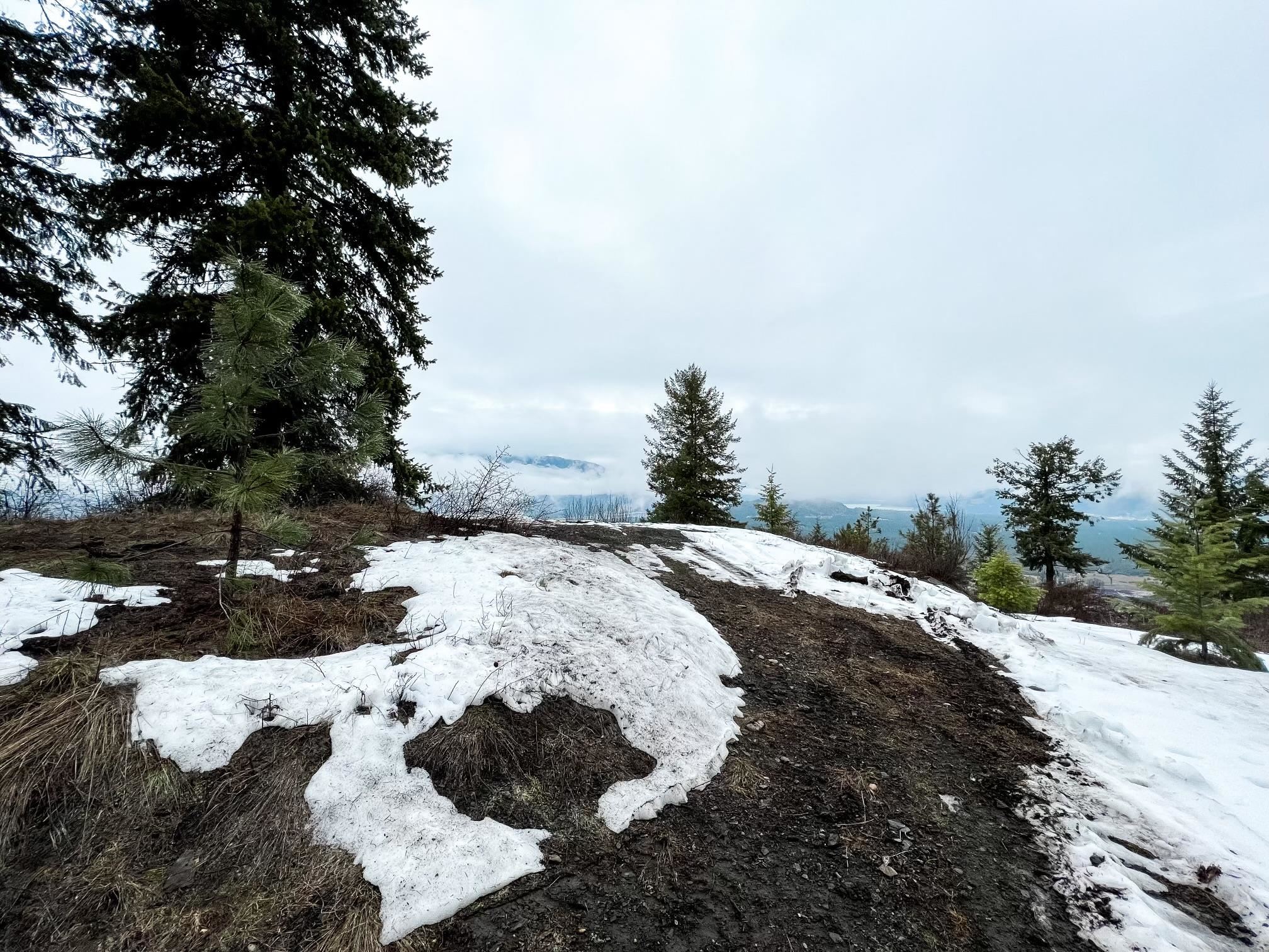 1274 F Mingo Mountain Road Kettle Falls, WA 99141 - Photo 4 of 21 Gallery Image 4