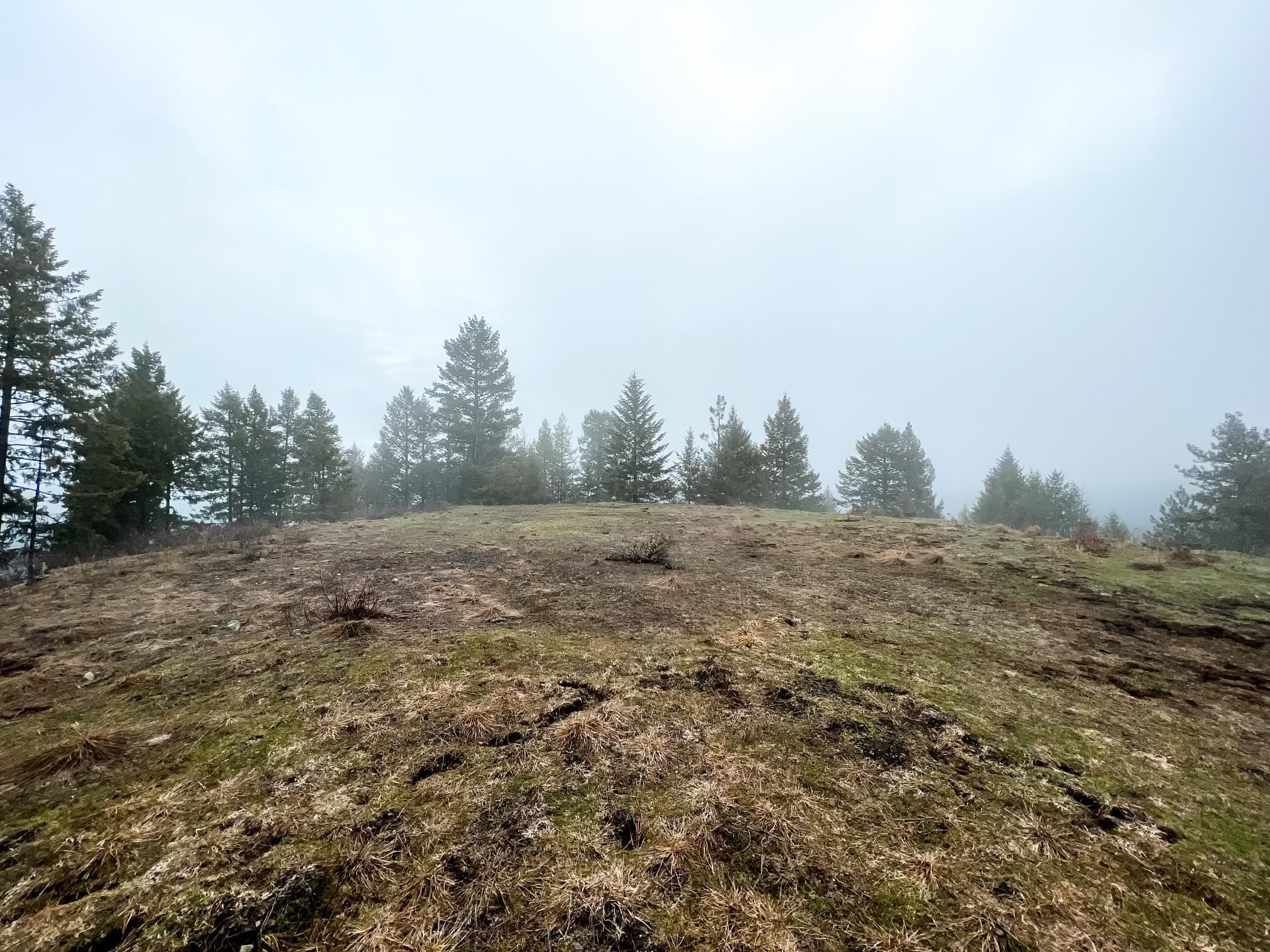 1274 F Mingo Mountain Road Kettle Falls, WA 99141 - Photo 5 of 21 Gallery Image 5